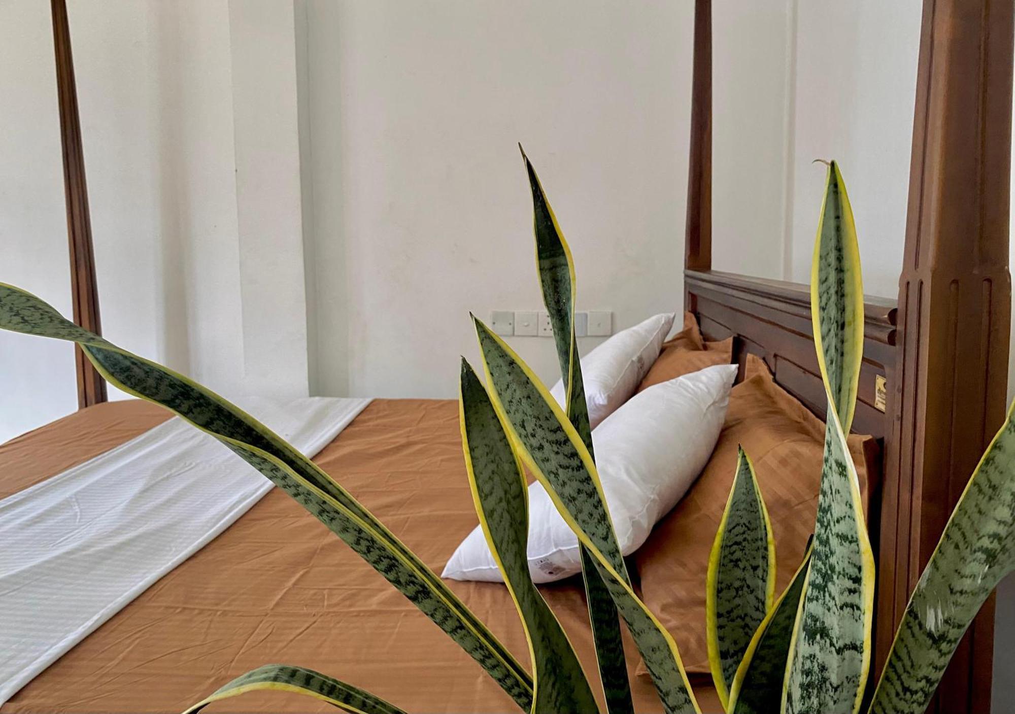 Sasmika Villa Surf And Yoga Hostel Велигама Экстерьер фото