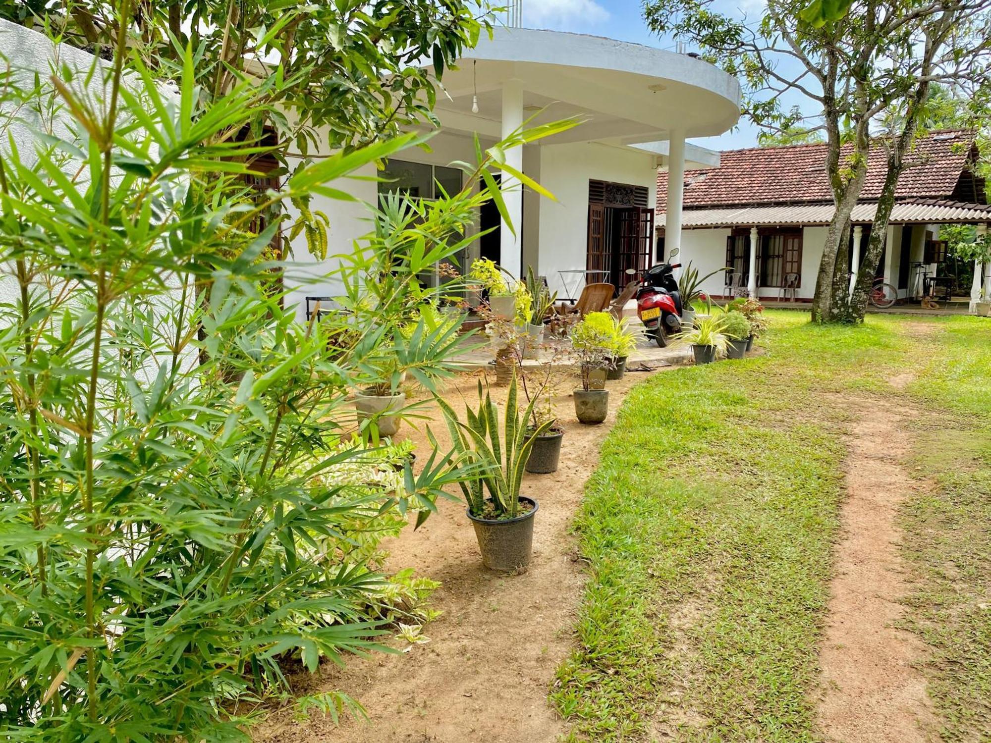 Sasmika Villa Surf And Yoga Hostel Велигама Экстерьер фото