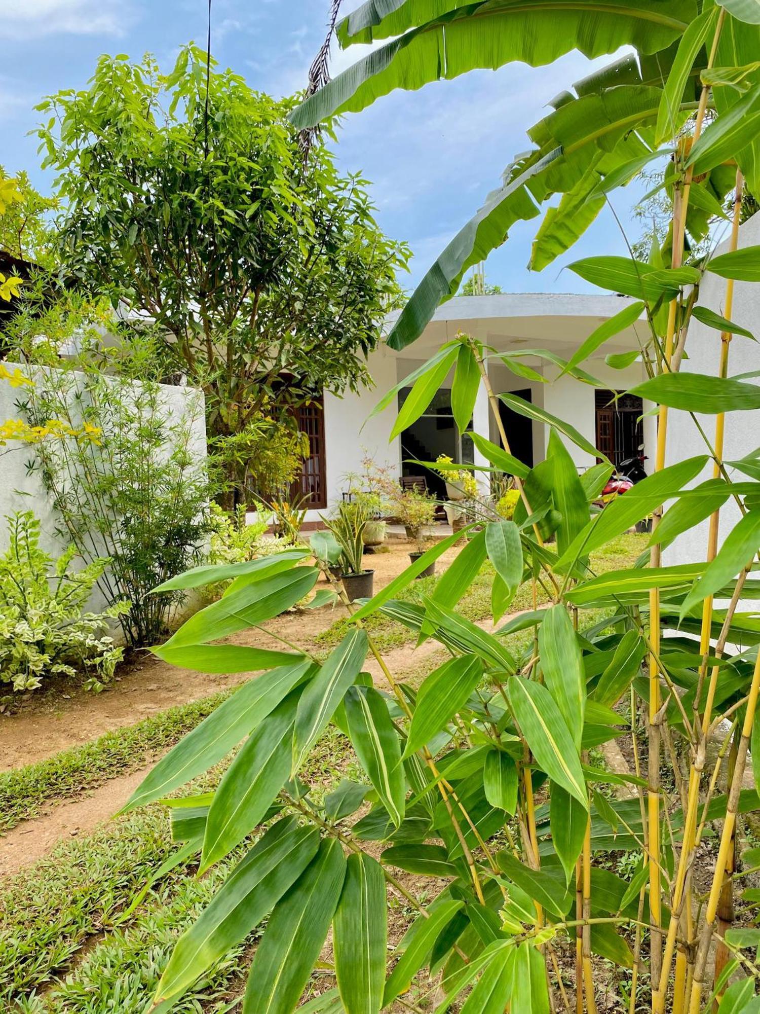 Sasmika Villa Surf And Yoga Hostel Велигама Экстерьер фото